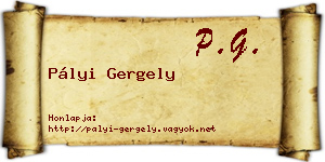Pályi Gergely névjegykártya